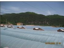 生態(tài) 農(nóng)業(yè) 工程建設(shè)的公司請(qǐng)選擇青州市憶美園林溫室,生態(tài) 農(nóng)業(yè) 工程建設(shè)的公司請(qǐng)選擇青州市憶美園林溫室生產(chǎn)廠(chǎng)家,生態(tài) 農(nóng)業(yè) 工程建設(shè)的公司請(qǐng)選擇青州市憶美園林溫室價(jià)格